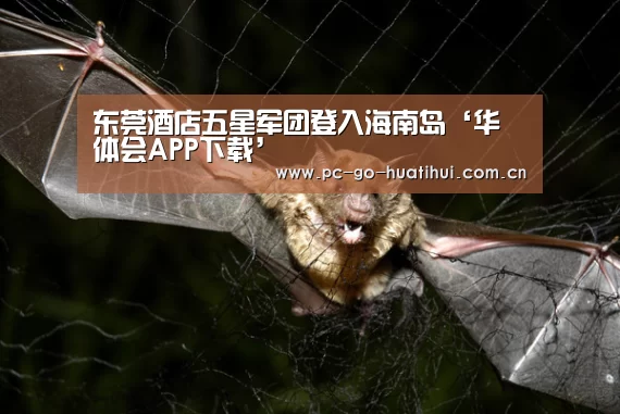 华体会体育官网入口