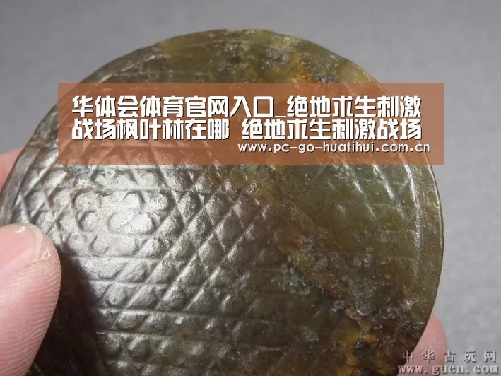 华体会体育官网入口