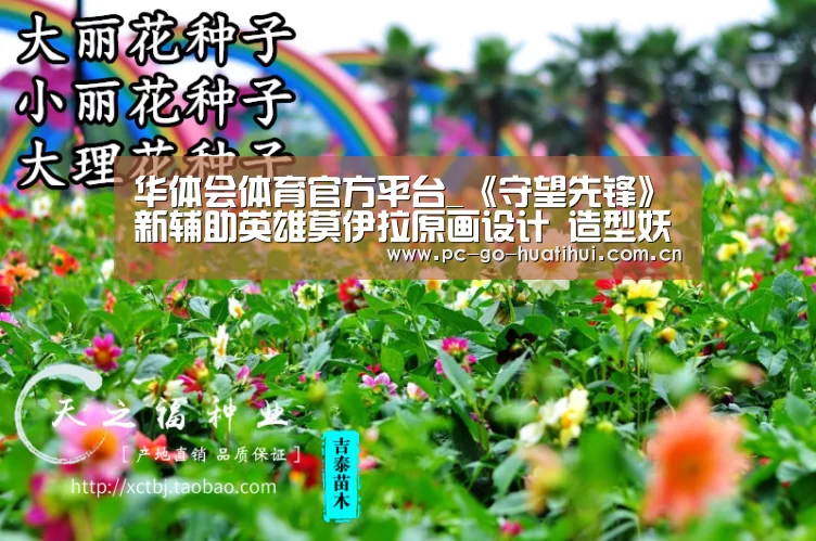 华体会体育官方平台_《守望先锋》新辅助英雄莫伊拉原画设计 造型妖孽(图4) 华体会体育APP下载官网