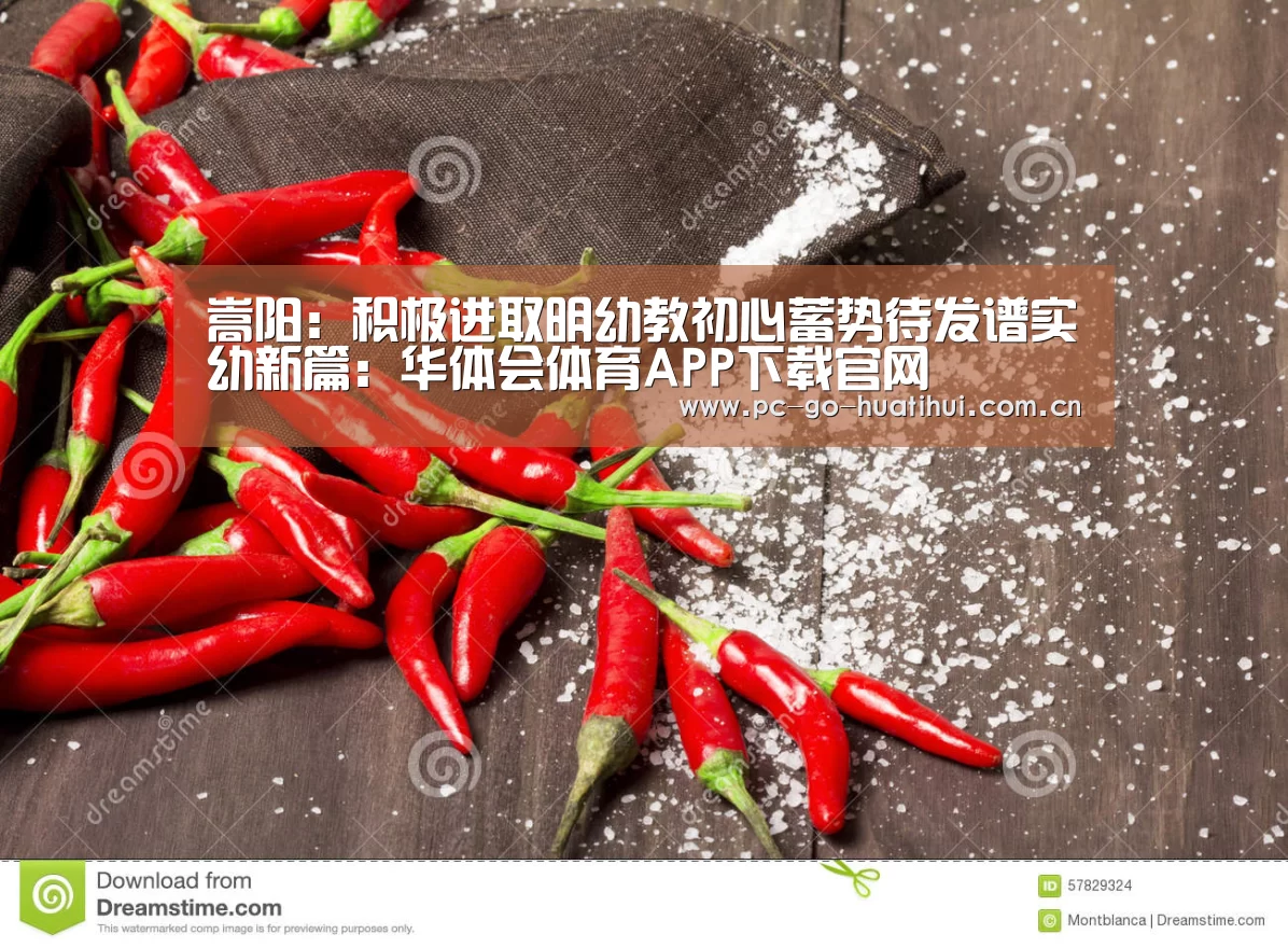 嵩阳:积极进取明幼教初心蓄势待发谱实幼新篇:华体会体育APP下载官网(图4) 华体会APP下载