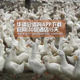 华体会体育APP下载官网|30层酒店15天建成 没有土建施工和建筑垃圾(图2) 华体会体育APP下载官网