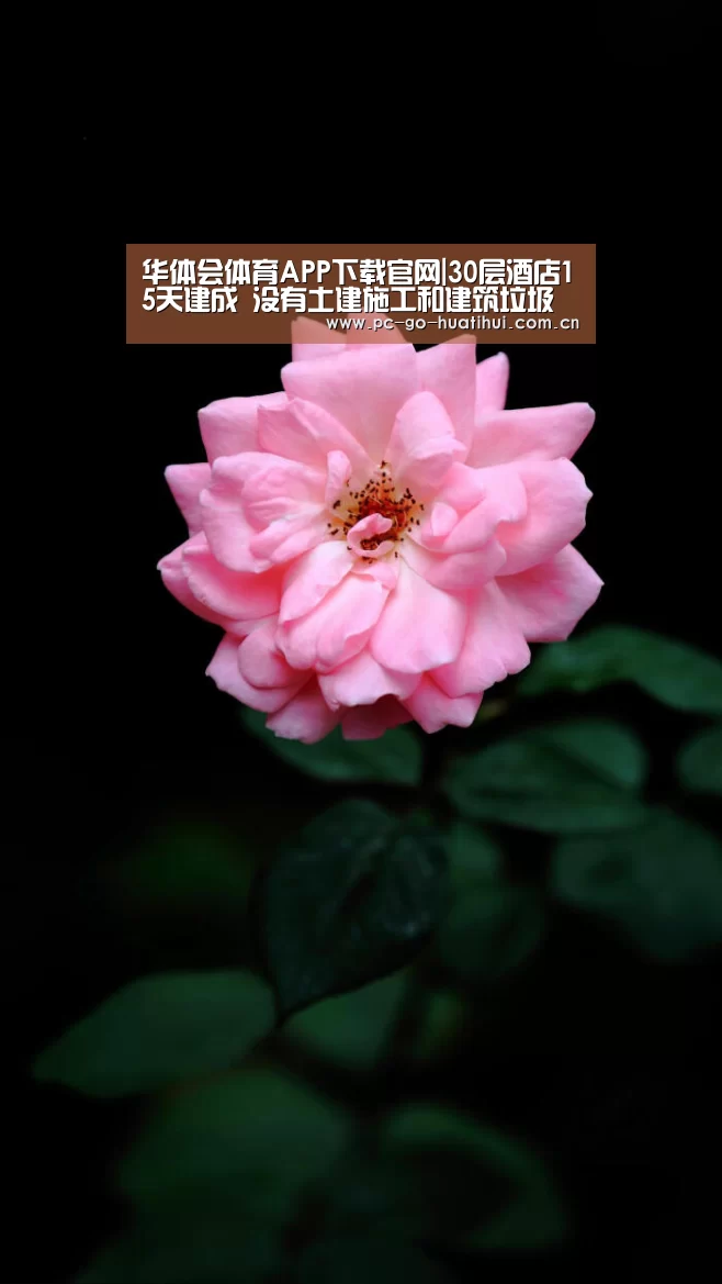 华体会体育APP下载官网|30层酒店15天建成 没有土建施工和建筑垃圾(图3) 华体会体育官网入口