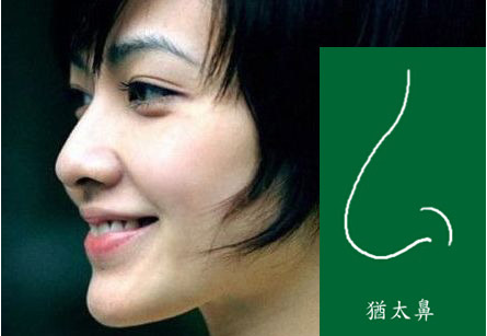 论:溺爱比失爱更严重|华体会体育官方平台(图2) 华体会体育官网入口