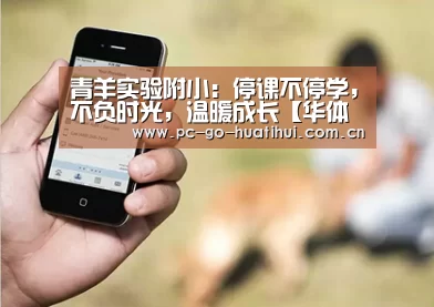 华体会APP下载