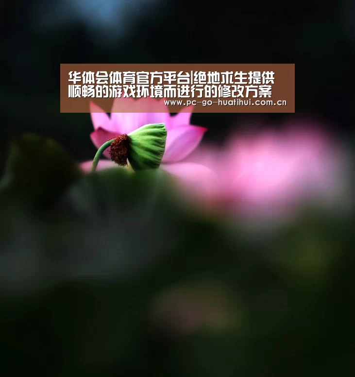 华体会体育官方平台|绝地求生提供顺畅的游戏环境而进行的修改方案(图1) 华体会APP下载